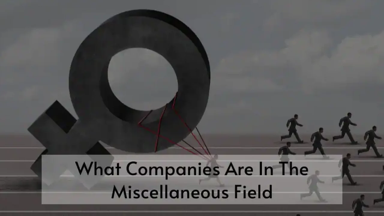 What Companies are in the Miscellaneous Field: Unveiled